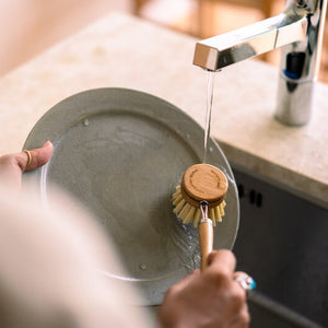 エコブラシ ロング