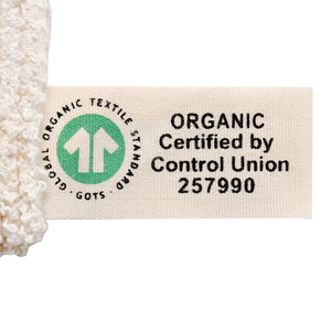 ボディスポンジ