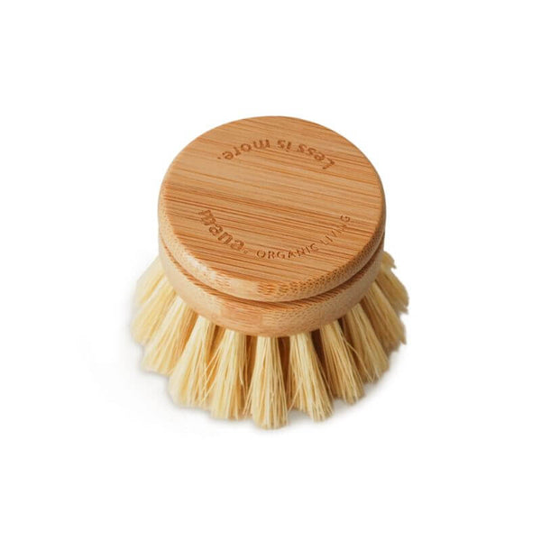 エコブラシ ロング