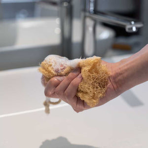 天然へちまスポンジ