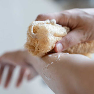 天然へちまスポンジ