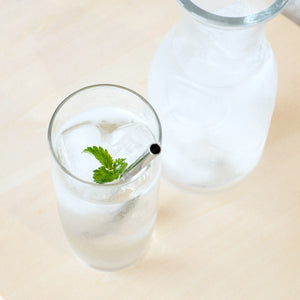 ジュニアストロー (10本入)