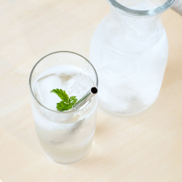 ジュニアストロー (10本入)