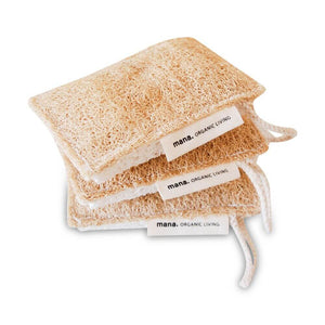 自然素材のスポンジ(3個セット)