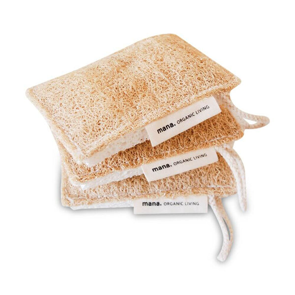 自然素材のスポンジ(3個セット)