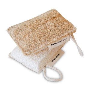 自然素材のスポンジ(3個セット)