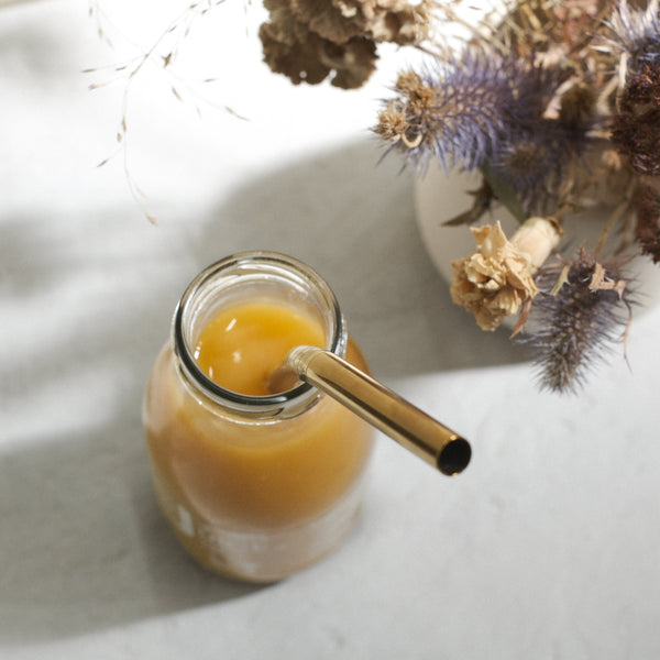 スムージーストロー (10本入)