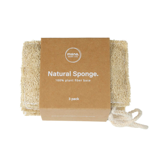 自然素材のスポンジ(3個セット)