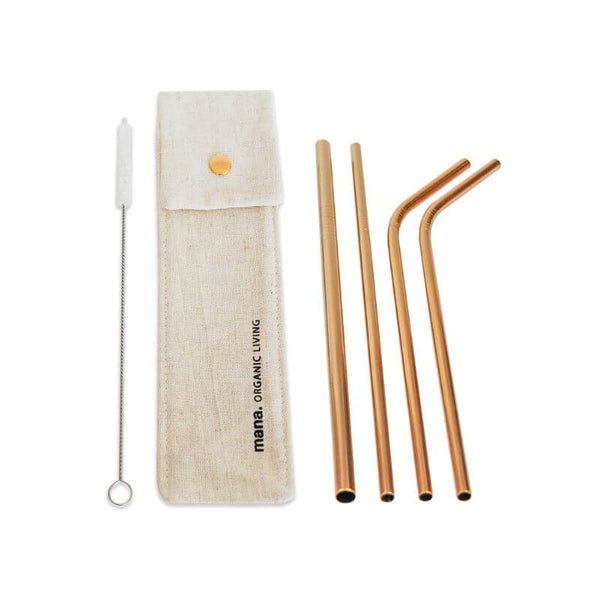 ステンレス製ストロー(6点セット)