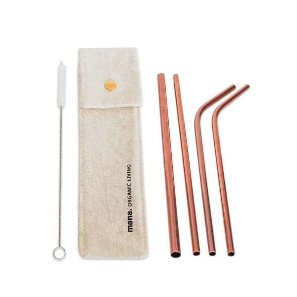 ステンレス製ストロー(6点セット)