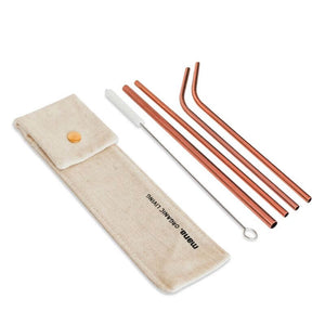 ステンレス製ストロー(6点セット)