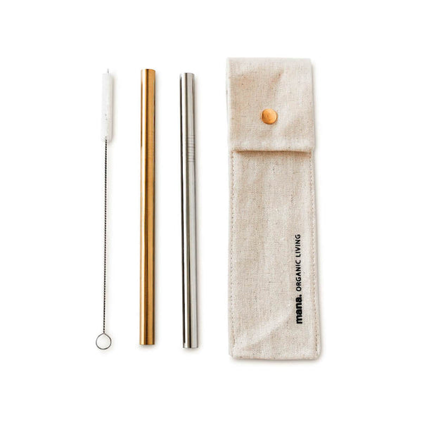 Tapioca Stainless Steel Straws (Set of 4)