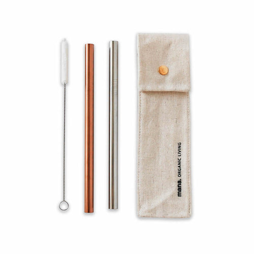 Tapioca Stainless Steel Straws (Set of 4)