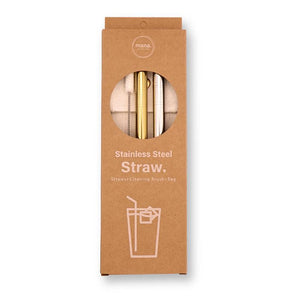 Tapioca Stainless Steel Straws (Set of 4)