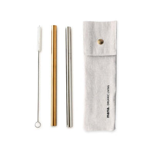 Tapioca Stainless Steel Straws (Set of 4)