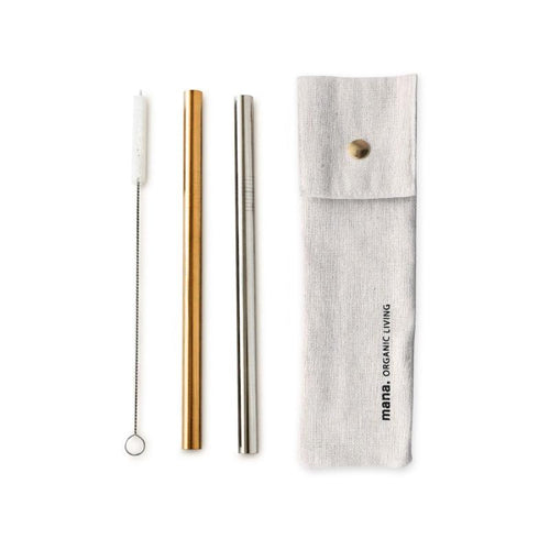 Tapioca Stainless Steel Straws (Set of 4)