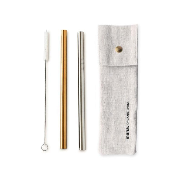Tapioca Stainless Steel Straws (Set of 4)