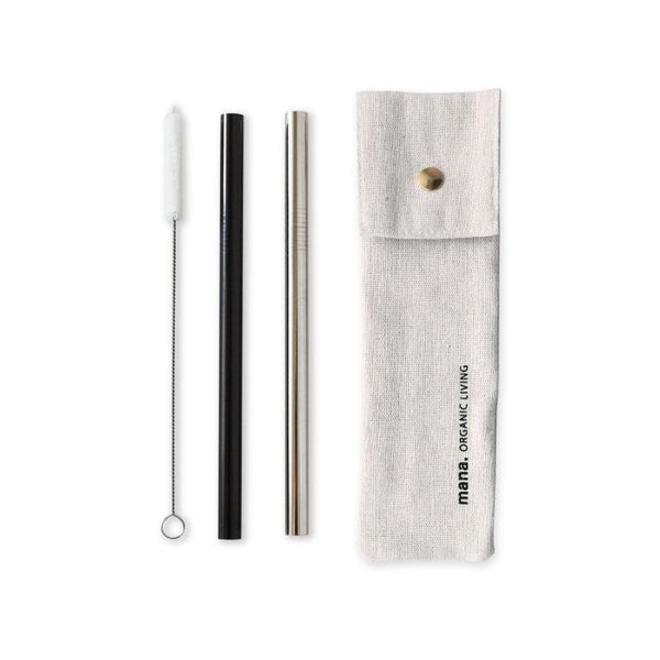 Tapioca Stainless Steel Straws (Set of 4)
