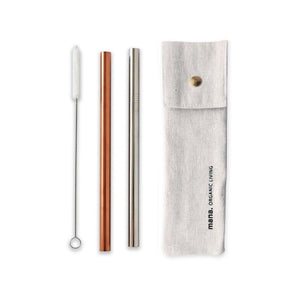 Tapioca Stainless Steel Straws (Set of 4)