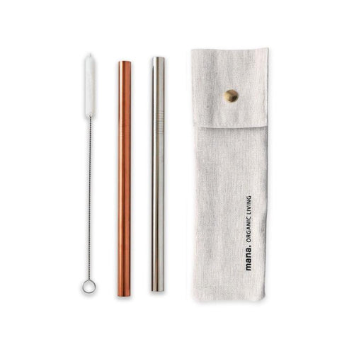 Tapioca Stainless Steel Straws (Set of 4)