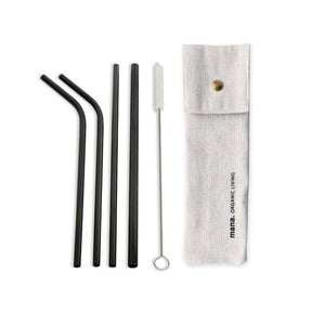 Stainless steel straws (set of 6)