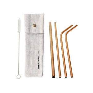 Stainless steel straws (set of 6)