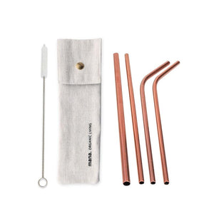 Stainless steel straws (set of 6)
